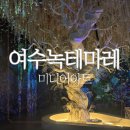 만성로 | 여수가볼만한곳 녹테마레 위드플레이 종합권 관람 후기