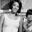 The Magic Top 8 이미지