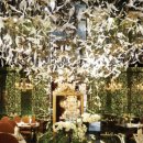 디라이프 이미지