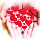 성시교회 이미지