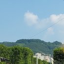 우면산을 바라보며. 이미지