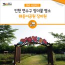연수구 장미공원 앞 이미지