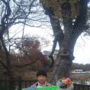 큰나루작은도서관 이미지