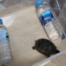 수완종합동물병원 이미지