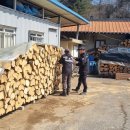 서울국유림관리소 이미지