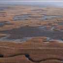 순천만의 추억 이미지