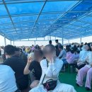 방파제회식당1호 | (늦은후기) 부모님과 3박4일 여름 제주도 태교여행 2일차(임산부 우도방문팁)