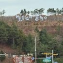 뉴월드수산 이미지