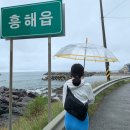 도도횟집
