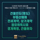 법무법인로하나