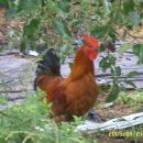 상평당 마을회관 이미지