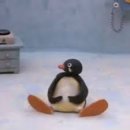 명덕동물병원 | 이제 진짜 고쓰리