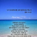 누가 유리바다에 초록 발자국을 찍는가 이미지