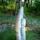 낙동리 석조여래입상 이미지