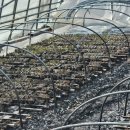 영양군농업기술센터 이미지