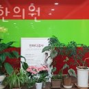 남현한의원 네이버블로그