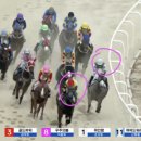 파인팜(주) | 경주 후기