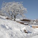 시골풍경 이미지