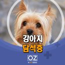 Dr. 오즈 동물병원 이미지