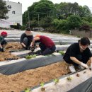 마중물 농장 이미지