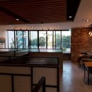 주식회사 비손 네이버블로그