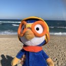 채니농장 이미지