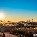 하늘공원 이미지