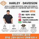 빌리야드 | 2024 로우 라이더 ST 출고 후기