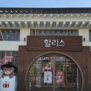 할리스 경주용강DT점