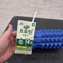 매일유업(주)노동조합 | 바쁜 아침에 챙겨 먹기 괜찮았던 단백질 음료 <매일유업 셀렉스 프로틴 당솔브> 후기