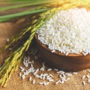 농업회사법인 이젠농산 이미지