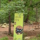 은판나비화장실 이미지