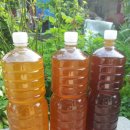 순수농장 이미지