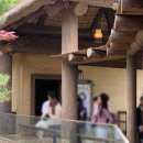 영양-6)영양군 영양중앙초등학교 정문 | 에버랜드 4월 평일 오픈런 사파리 다음 로스트밸리 이용한 후기 (명당자리/위치/웨이팅시간)