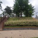 두정e편한세상(1차) 이미지