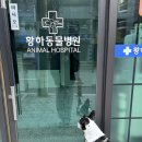 황하동물병원 이미지