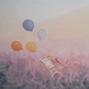 고양시청 이미지