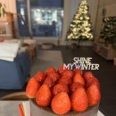 정보과학고등학교 (앞) | 과학고 합격 후기 / 평범한 아들 사교육없이 과학고등학교 합격 후기