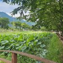 예다원모텔 이미지