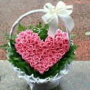 소리사랑 이미지