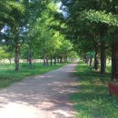 국토종주자전거길1-3 이미지