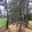 세븐일레븐 동해이도점 | [동해 해수욕장] 한섬해수욕장ㅣ주차꿀팁 / 스노쿨링해수욕장 / 동굴포토존