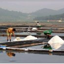 태평태양광발전소 이미지