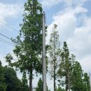 내꾸미 쭈꾸미 | “가성비 최고! 무한국수 서비스까지, 남양주 쭈꾸미 맛집 ‘내꾸미쭈꾸미’”