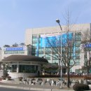 황금복돼지 이미지