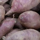 황토농장 이미지