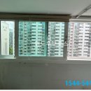 삼일무지개 이미지