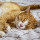 헬스플러스 구래2호점 이미지