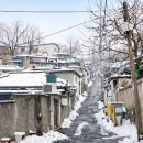 삼기약국 이미지