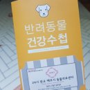 메르시켄넬 이미지